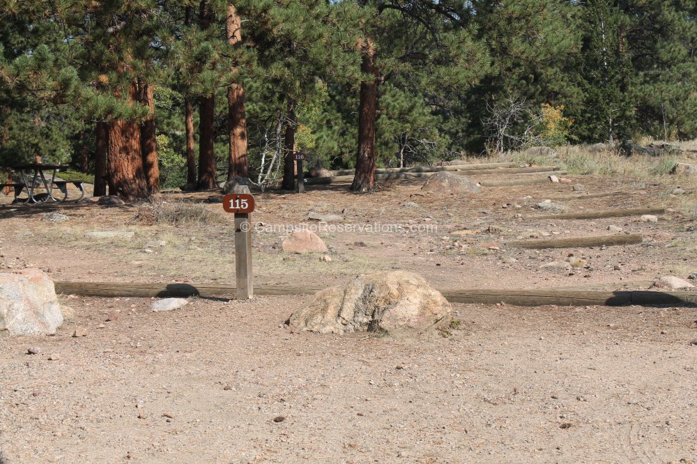 Campsite 115 in Moraine Park Campground at Rocky Mountain National Park